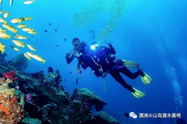 缤纷水果茶
