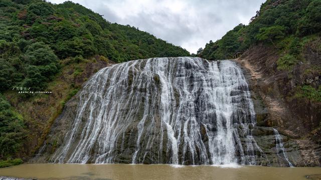 驻冀全国人大代表集中研读讨论国务院组织法修订草案